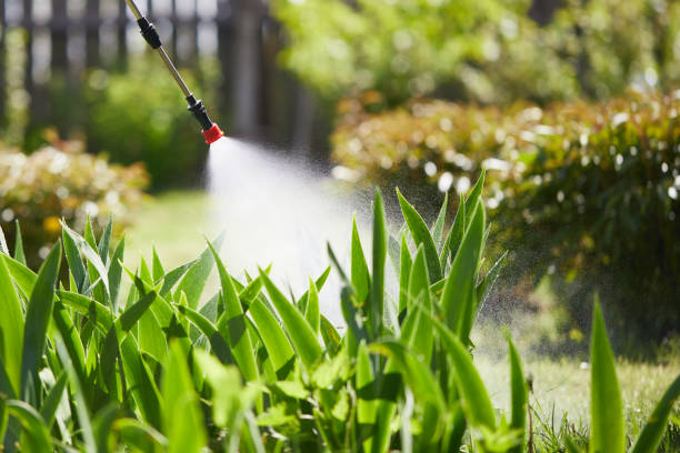 24/7 Emergency Fumigation Services experts in Claremore, OK